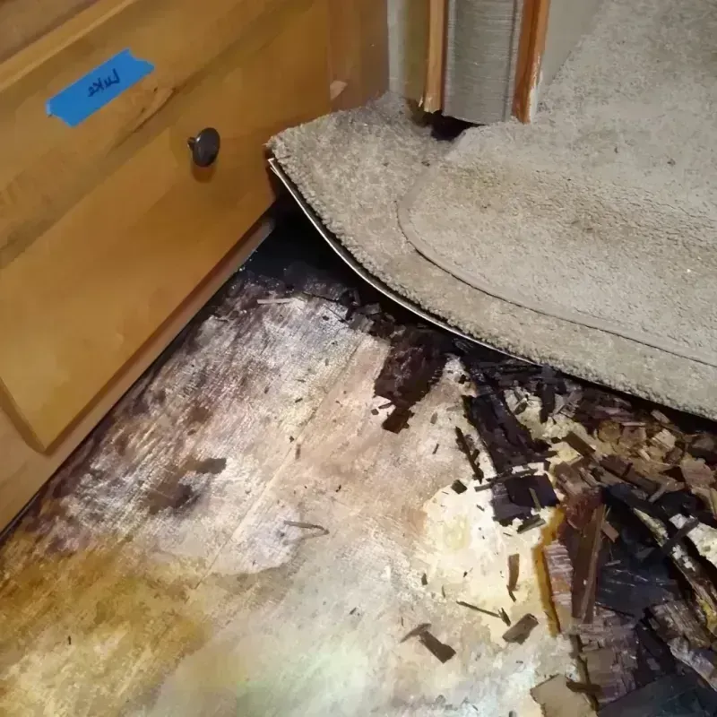 Best Wood Floor Water Damage Service in Hillside Lake, NY